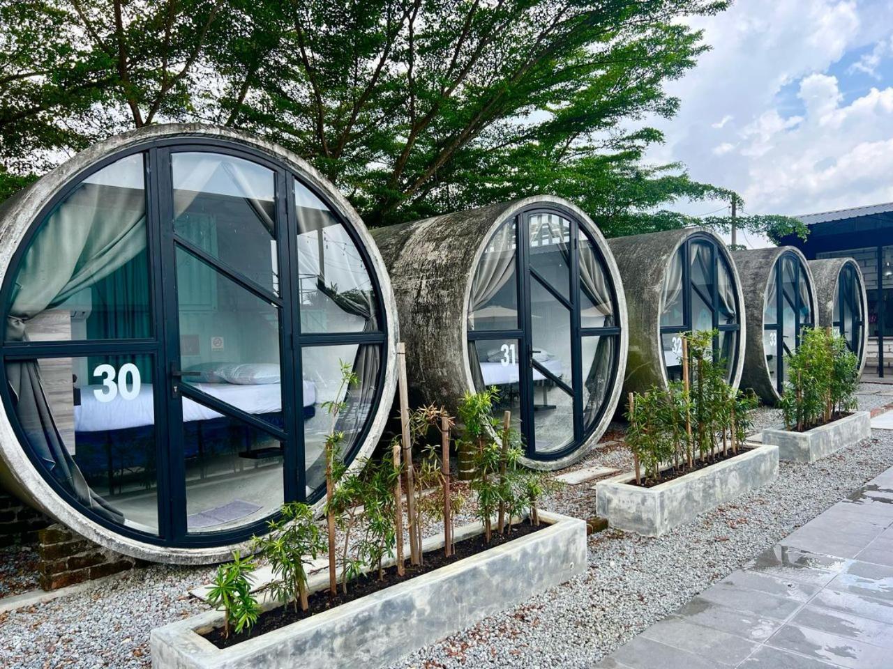 Reserve The Cozytainer Rumah tetamu *
